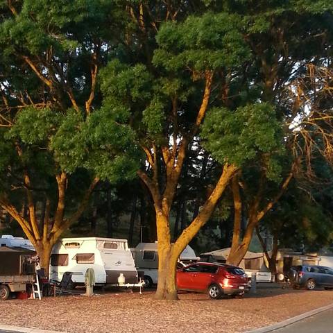 Queen Victoria Jubilee Park - Accommodation Adelaide 0