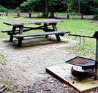 Bellbird campground - Accommodation Adelaide