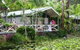 Darlington Beach NRMA Holiday Park - thumb 4