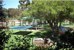 Tarcutta Halfway Motor Inn/Horse Hotel - Accommodation Adelaide 5
