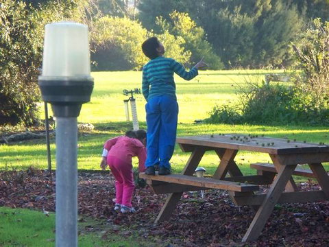 Toora Lodge Motel - Accommodation Adelaide 2