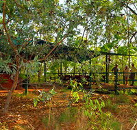 Arnhemland Barramundi Nature Lodge - Accommodation Adelaide