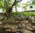 Mt Warning Rainforest Park - Accommodation Adelaide