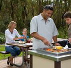 Port Stephens Treescape - Accommodation Adelaide