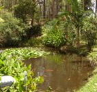 Tallowood Ridge B and B - Accommodation Adelaide