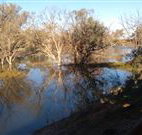 Warrawong on the Darling - Accommodation Adelaide