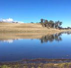 Bombala Maneroo Motel - Bombala - Accommodation Adelaide