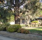 Hamilton Hume Motor Inn - Yass - Accommodation Adelaide