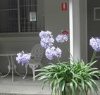 Pine Lodge Motel - Woolgoolga - Accommodation Adelaide