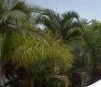 Ballina Beach Resort - Accommodation Adelaide 4