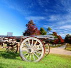 The Oaks Ranch and Country Club - Mossy Point - Accommodation Adelaide