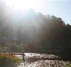 Blair Athol Estate - Accommodation Adelaide