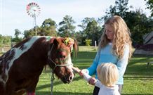 Mogendoura Farm - Accommodation Adelaide 7