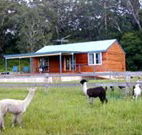Moorallie Cottage Farm Stay - Accommodation Adelaide