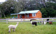 Moorallie Cottage Farm Stay - Accommodation Adelaide 0