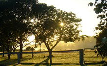 Rocky Mountains - Accommodation Adelaide 4