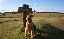 Rocky Mountains - Accommodation Adelaide 7