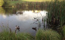 Harewood House Bed And Breakfast - Accommodation Adelaide 0