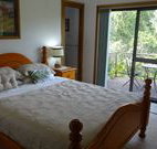 Peaceful Palms Bed and Breakfast - - Accommodation Adelaide