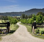 Pemberley Grange Hunter Valley Getaway - Accommodation Adelaide