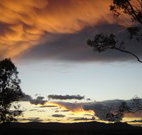 Silkwood B and B - Accommodation Adelaide