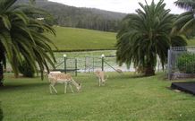 Sunny Hill Retreat Accommodation And Day Spa - - Accommodation Adelaide 6