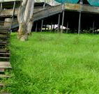 Snowy Valley Resort - Accommodation Adelaide