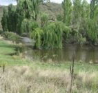 Cedar Grove - Accommodation Adelaide