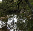 In Essentia Healing Hut of Kangaroo Valley - Accommodation Adelaide