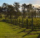 Hidden Treasure - Accommodation Adelaide