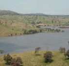 In The Heart Of Husky - Accommodation Adelaide