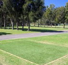 Spotted Gums on Hermitage - Accommodation Adelaide
