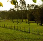 Stone Cottage Mittagong - Accommodation Adelaide