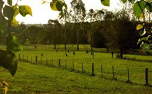 Stone Cottage Mittagong - Accommodation Adelaide 0