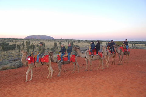 Ayers Rock - Outback Pioneer Lodge - Accommodation Adelaide 1