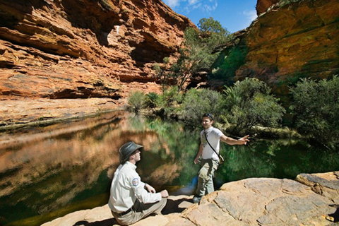 Kings Canyon Holiday Park - Accommodation Adelaide 8