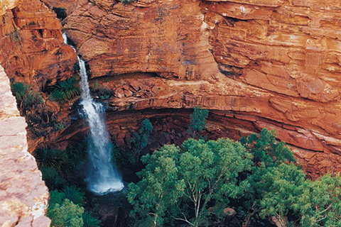 Kings Canyon Holiday Park - Accommodation Adelaide 9
