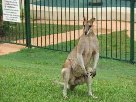 Villa Marine Holiday Apartments - Accommodation Adelaide 1