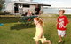 Broadwater Tourist Park - thumb 1