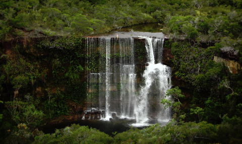 Haggerstone Island Resort - Accommodation Adelaide 6