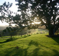Kilfeacle Farm Cottage - Accommodation Adelaide