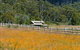 Pender Lea Alpine Guest Accommodation - thumb 0