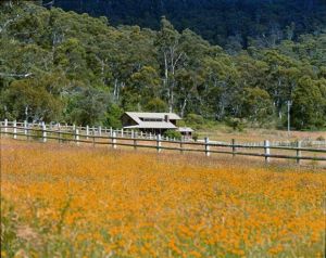 Pender Lea Alpine Guest Accommodation - Accommodation Adelaide 0