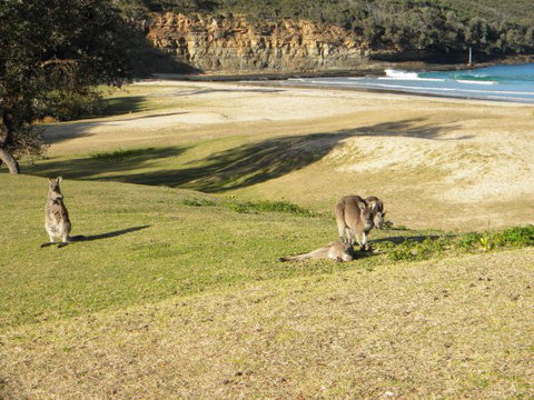 Creel Lodge - Accommodation Adelaide 13