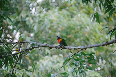 Creel Lodge - Accommodation Adelaide 14