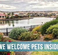 PetLet Kensington Road Norwood - Accommodation Adelaide