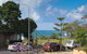 Summer Central - thumb 22