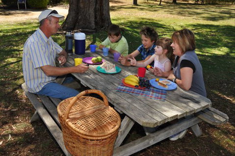 Naracoorte Caves Camping And Accomodation - Accommodation Adelaide 0