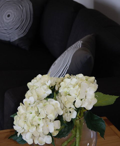Darlington Beach House @ Spring Beach - Accommodation Adelaide 8