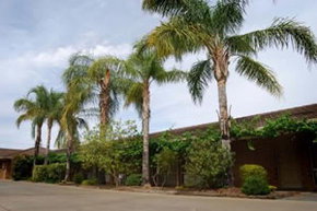 Darling Junction Motel - Accommodation Adelaide 2